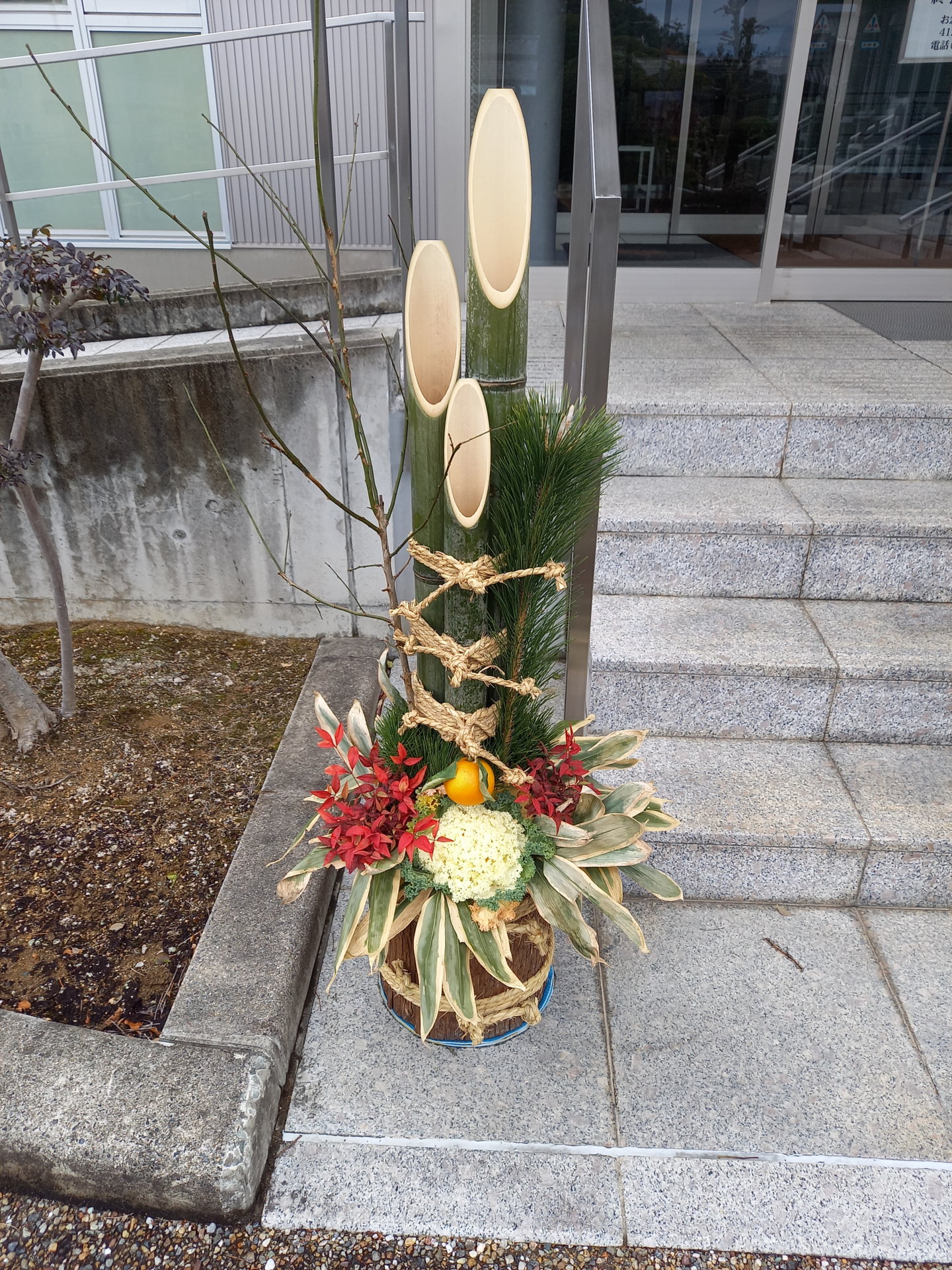 正月飾り(門松🎍）と三方ヶ原の戦いは関係していた？ | 葉ねぎ生産